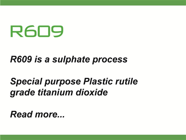 R609 